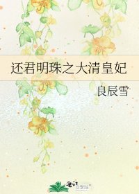 还君明珠之大清皇妃