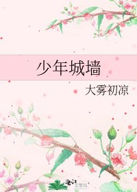 《少年城牆》