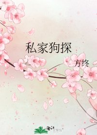 《私家狗探》