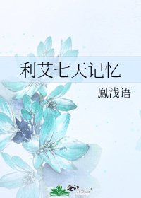 《利艾七天記憶》