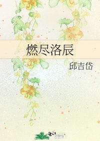 《燃盡洛辰》