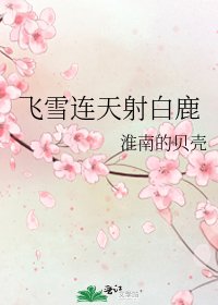 飛雪連天射白鹿