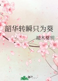 《韶華轉瞬只為葵》