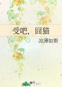 《受吧,囧貓》