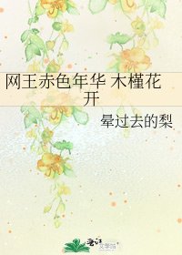 网王赤色年华 木槿花开
