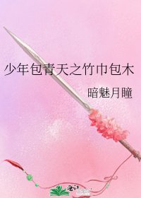 少年包青天之竹巾包木