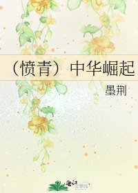 《(憤青)中華崛起》