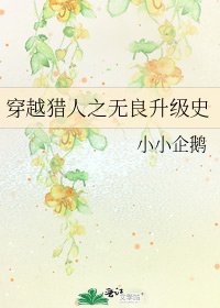 《穿越獵人之無良升級史》