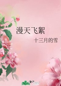 《漫天飞絮》