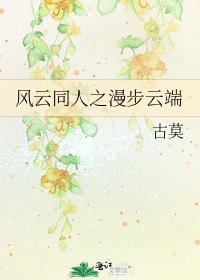 《风云同人之漫步云端》