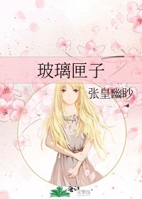 《玻璃匣子》