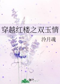 《穿越红楼之双玉情》