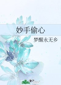 妙手偷心