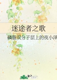 《迷途者之歌》