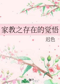 家教之存在的覺悟