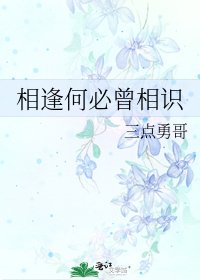 相逢何必曾相識