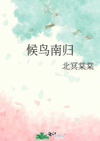 候鸟南归