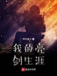 《我的亮劍生涯》