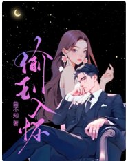 偷玉入懷