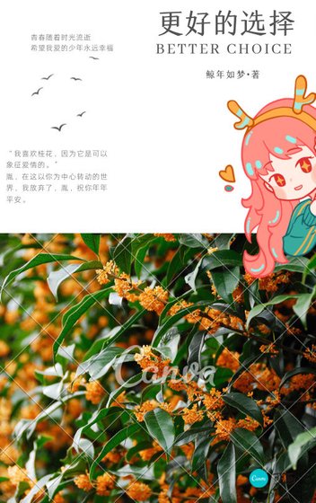 更好的选择