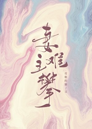 妻主難攀（女尊）