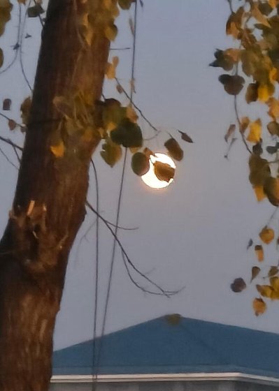 《總裁,我只想搞錢不想搞你》