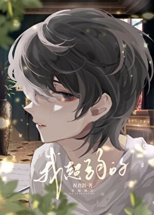 《他的小紙片人》