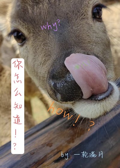 《你怎麼知道!?》