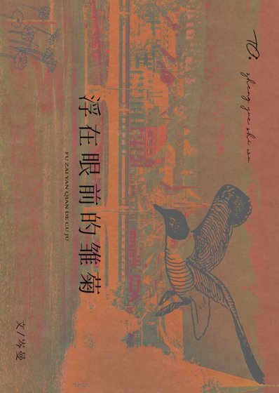 浮在眼前的雏菊
