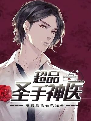 《超品圣手神医》