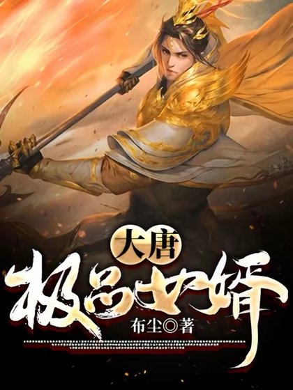 《大唐極品女婿》