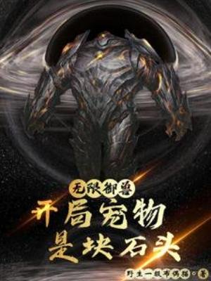 《無限御獸:開局寵物是塊石頭》