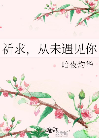 祈求,从未遇见你