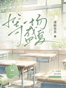 《等一场盛夏》