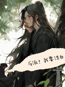 反派,我要洗稗
