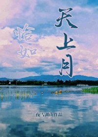 《恰如天上月》