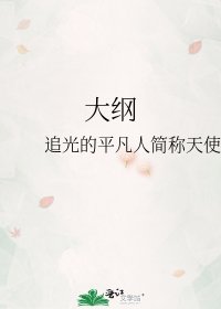 大纲