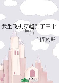《我坐飛機穿越到了三十年後》