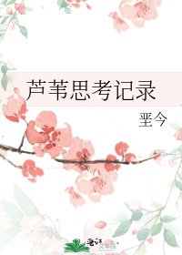 芦苇思考记录
