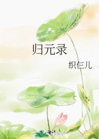 归元录