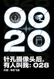 《針孔攝像頭後,有人叫我:028》