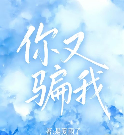 你又骗我