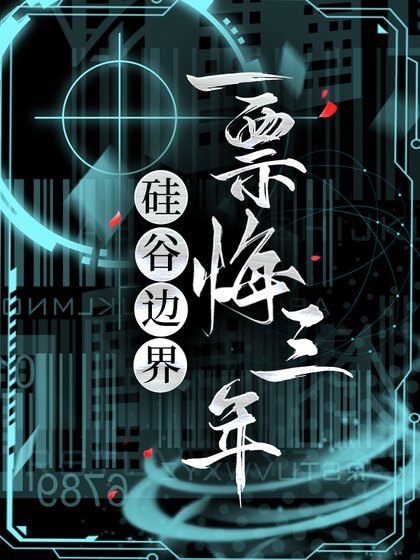 硅谷边界:一票悔三年