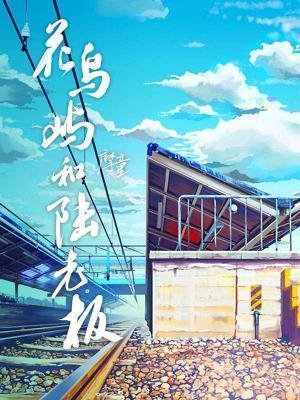 花鳥嶼和陸老闆