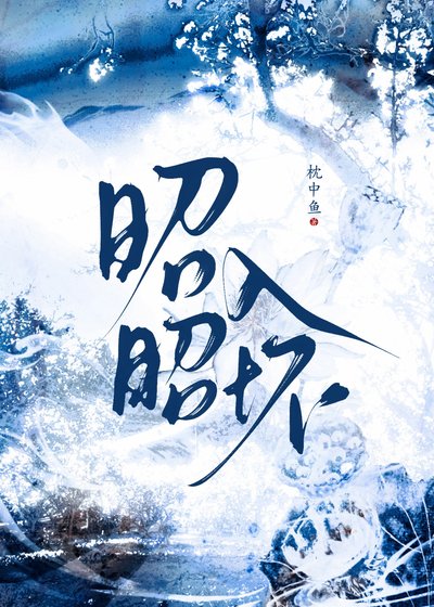 《昭昭入懷》