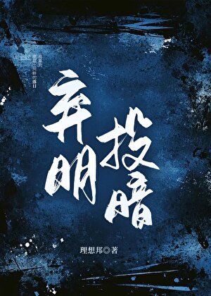 《棄明投暗》