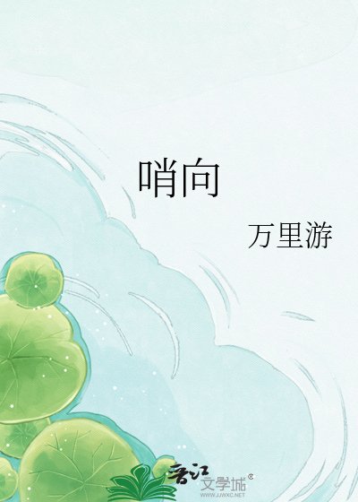 《哨向》