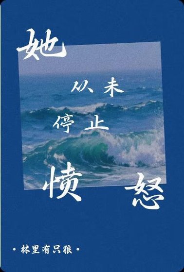 《她从未停止愤怒》