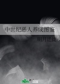 中世纪恶人养成图鉴