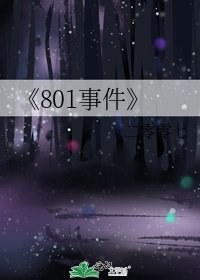 《801事件》